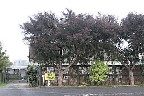 Photo of property in 91 Massey Street, Frankton, Hamilton, 3204