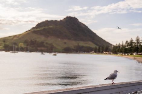 Photo of property in 4/281 Maunganui Road, Mount Maunganui, 3116