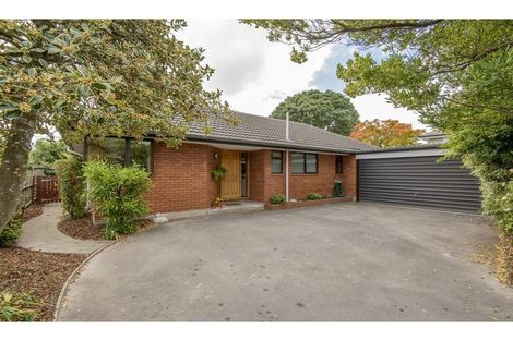 Photo of property in 261 Ashgrove Terrace, Somerfield, Christchurch, 8024
