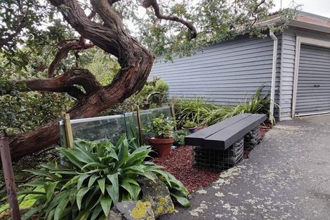 Photo of property in 61a Mortimer Terrace, Brooklyn, Wellington, 6021
