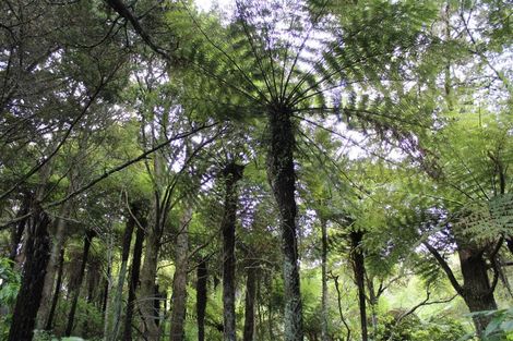 Photo of property in 16 North Ridge Rise, Maunu, Whangarei, 0179