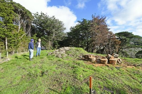 Photo of property in 99 Birdsall Road, Whangateau, 0985