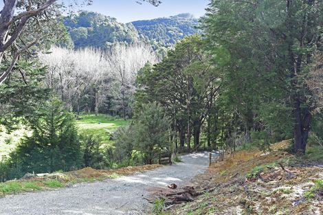 Photo of property in 99 Birdsall Road, Whangateau, 0985