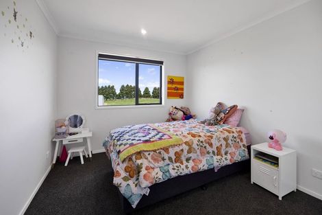 Photo of property in 657 Eltham Road, Mangatoki, Stratford, 4391