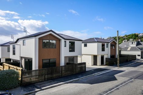 Photo of property in 27b Playfair Street, Caversham, Dunedin, 9012