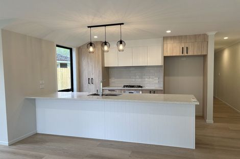 Photo of property in 121 Fitzroy Avenue, Fitzroy, Hamilton, 3206