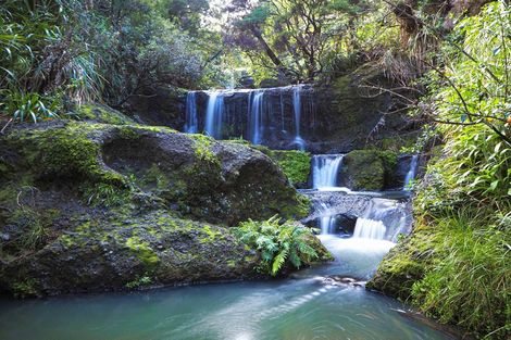 Photo of property in 122 Lone Kauri Road, Karekare, New Lynn, 0772