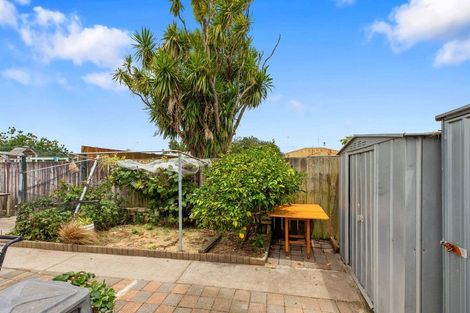 Photo of property in 16 Kentia Avenue, Mount Maunganui, 3116