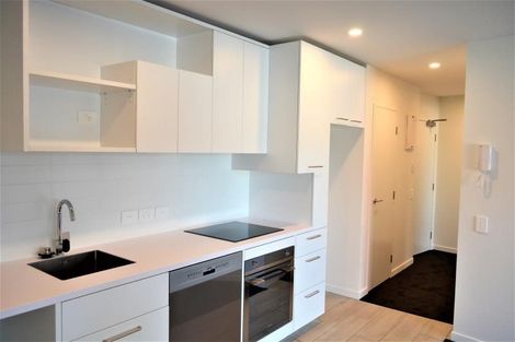 Photo of property in Vsp South, 507/168u Victoria Street, Te Aro, Wellington, 6011