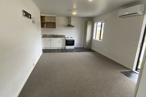 Photo of property in 17 Hockin Place, Fairfield, Hamilton, 3214