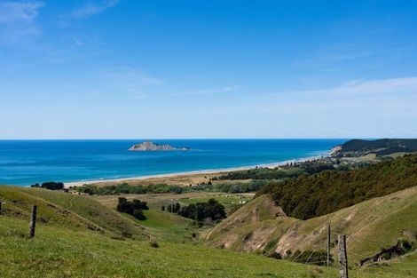 Photo of property in 30 Waipuka Road, Waimarama, Havelock North, 4294