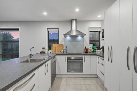 Photo of property in 19 William Nicholls Drive, Belfast, Christchurch, 8051