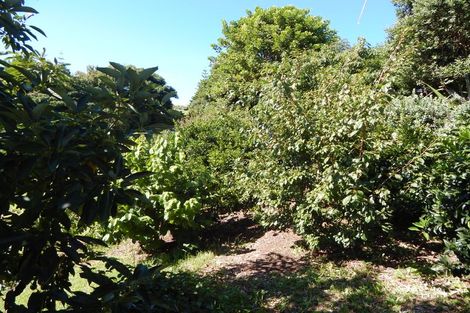 Photo of property in 36 Rarere Terrace, Kerikeri, 0230