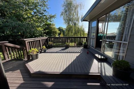 Photo of property in 32 Haggitt Street, Feilding, 4702