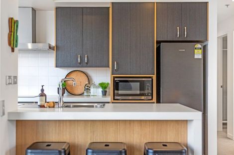 Photo of property in Monument Apartments, 9j/245 Wakefield Street, Te Aro, Wellington, 6011