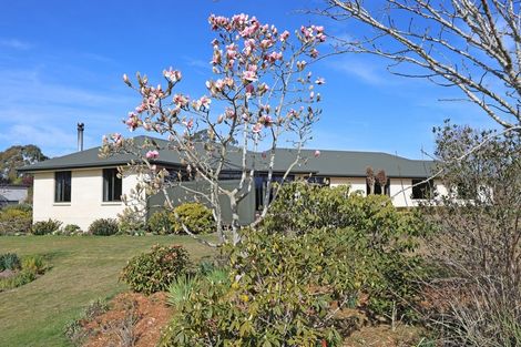 Photo of property in 331 Homestead Road, Weston, Oamaru, 9491