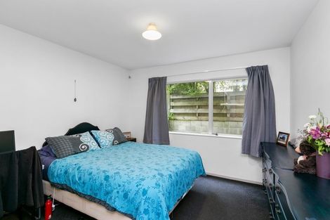 Photo of property in 33u9 Hiropi Street, Newtown, Wellington, 6021