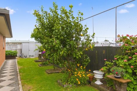 Photo of property in 63 Weraroa Road, Levin, 5510