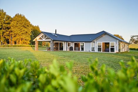 Photo of property in 334 Ngahinapouri Road, Ohaupo, 3882