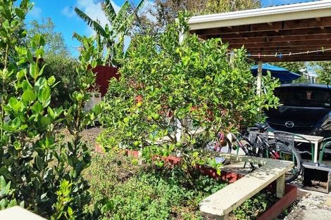 Photo of property in 43 Norton Street, Te Kopuru, 0391