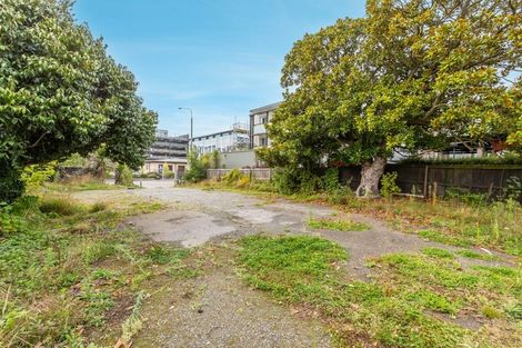 Photo of property in 273 Montreal Street, Christchurch Central, Christchurch, 8013