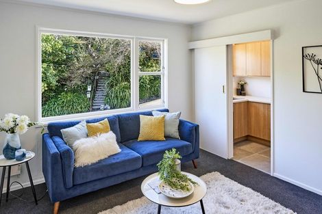 Photo of property in 24f1 Crieff Street, Northland, Wellington, 6012