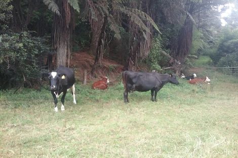 Photo of property in 88 Mark Road, Te Puke, 3188