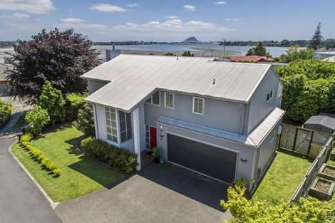 Photo of property in 334b Maungatapu Road, Maungatapu, Tauranga, 3112