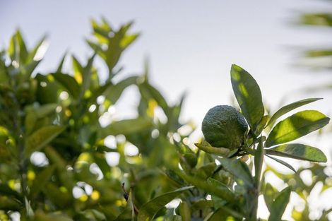 Photo of property in 30 Heron Avenue East, Matua, Tauranga, 3110