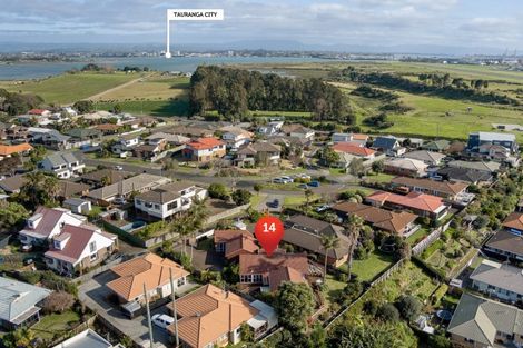 Photo of property in 14 Claridge Place, Mount Maunganui, 3116