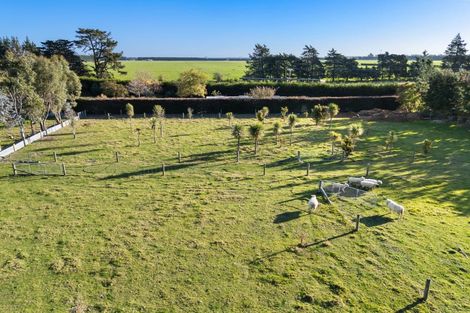 Photo of property in 1316 Tramway Road, Dunsandel, Leeston, 7682