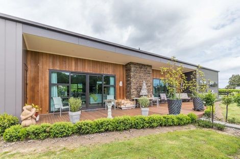 Photo of property in 126 Gladstone Road, Levin, 5571