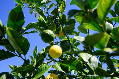 Photo of property in 3 Harding Place, Feilding, 4702