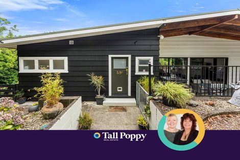 Photo of property in 59c Wakeman Street, Pahiatua, 4910