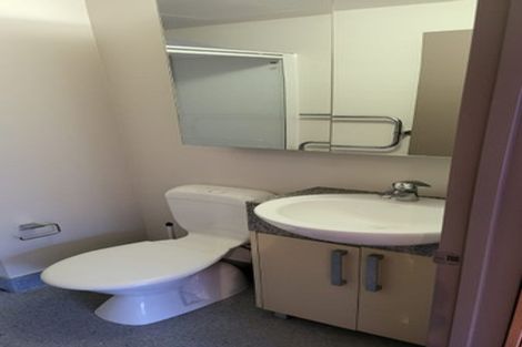 Photo of property in Dual Apartments, 108/142u Vivian Street, Te Aro, Wellington, 6011