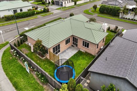 Photo of property in 117 Hunter Drive, Awatoto, Napier, 4110