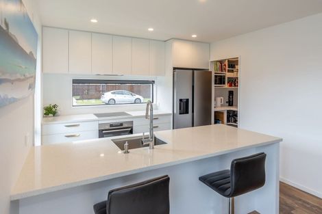 Photo of property in 55 Hardingstone Drive, Rolleston, 7615