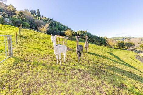 Photo of property in 1683b Tirau Road, Karapiro, Tirau, 3484