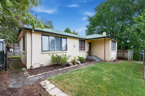 Photo of property in 55 Hinemoa Avenue, Taupo, 3330
