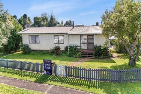 Photo of property in 78 Sinclair Terrace, Te Awamutu, 3800