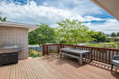Photo of property in 11 Orme Street, Outram, 9019