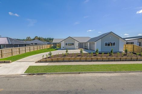 Photo of property in 1 Teitei Avenue, Feilding, 4702