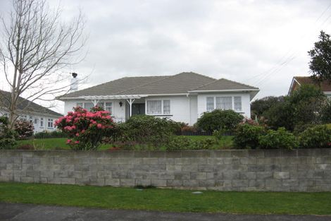 Photo of property in 12 Paisley Street, Levin, 5510