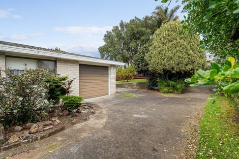 Photo of property in 6 Chester Street, Judea, Tauranga, 3110