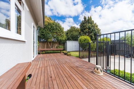 Photo of property in 28 Matamau Street, Palmerston North, 4414