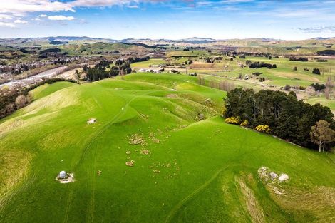 Photo of property in 226 Ongaonga Road, Waipawa, 4272