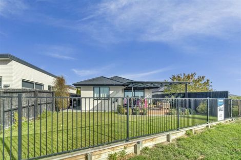 Photo of property in 20 Colt Place, Wigram, Christchurch, 8025