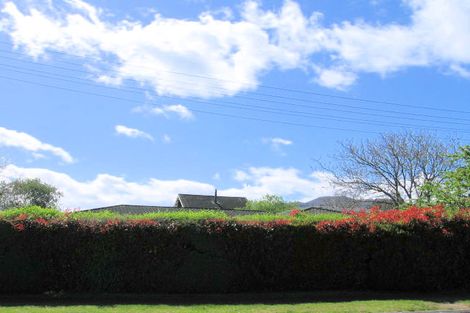Photo of property in 1 Simkin Street, Taupo, 3330