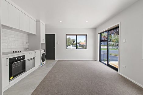 Photo of property in 69 Albert Street, Hamilton East, Hamilton, 3216