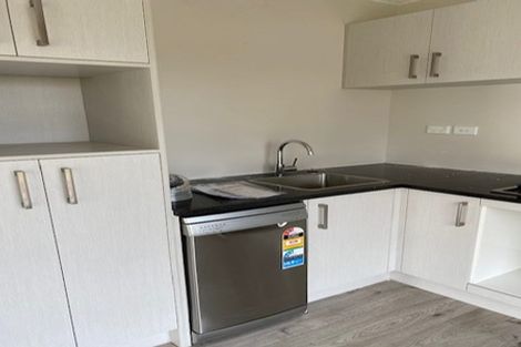 Photo of property in 134a Galloway Street, Hamilton East, Hamilton, 3216